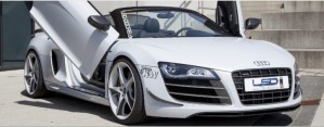 LSD-Doors fits for Audi R8 42A Spyder incl.