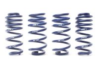 H&R classic-lowering springs fits for Rover 75